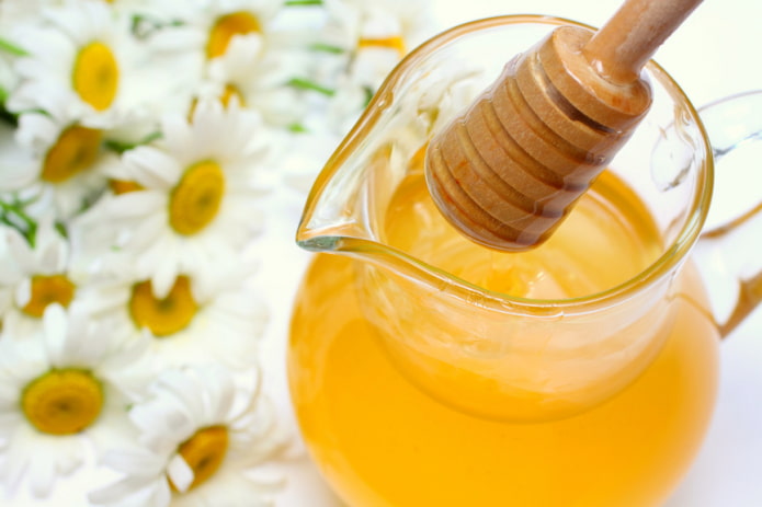 Как правильно пить воду с медом? Особенности потребления медовой воды